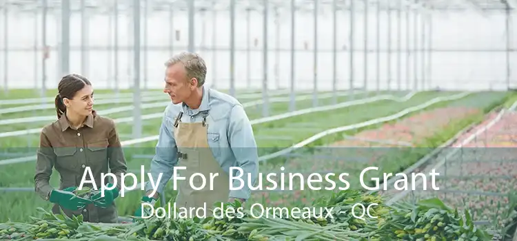 Apply For Business Grant Dollard des Ormeaux - QC